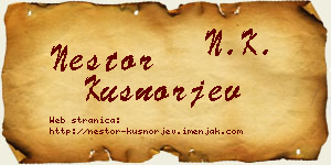 Nestor Kušnorjev vizit kartica